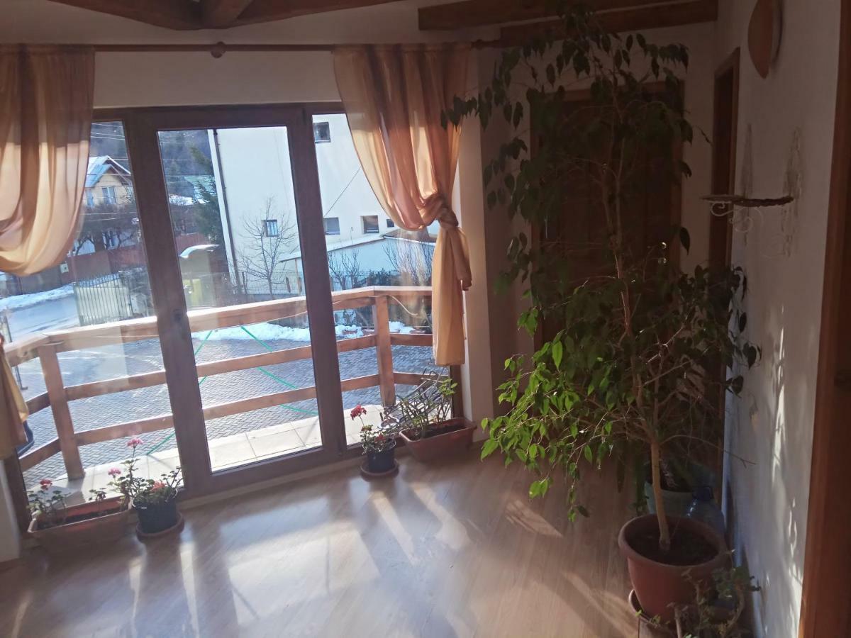 Casa Alexandru 호텔 아주가 외부 사진