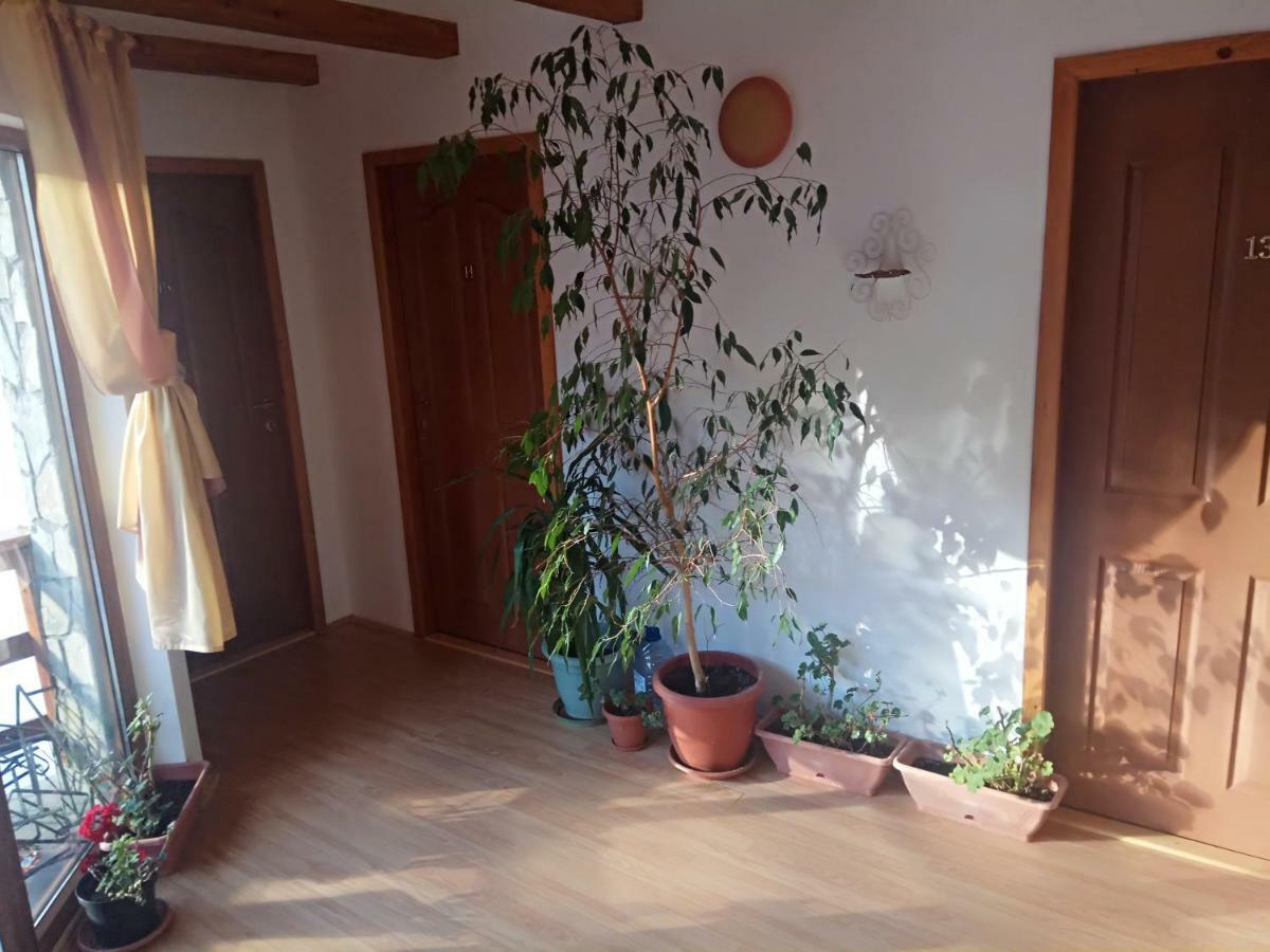 Casa Alexandru 호텔 아주가 외부 사진